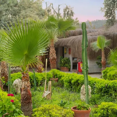 酒店 糖果海滩俱乐部酒店 3*