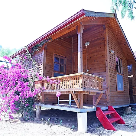 酒店 糖果海滩俱乐部酒店