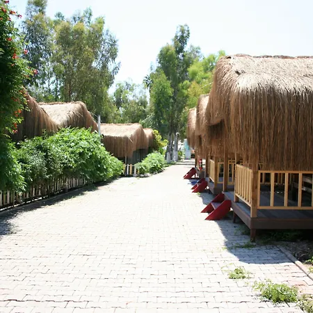 酒店 糖果海滩俱乐部酒店 3*