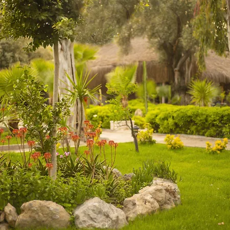 酒店 糖果海滩俱乐部酒店