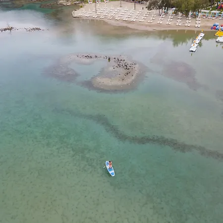 酒店 糖果海滩俱乐部酒店 3*