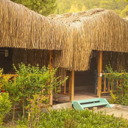 糖果海滩俱乐部酒店 3*