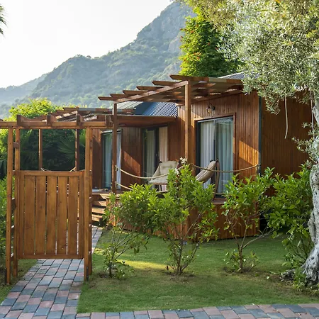 酒店 糖果海滩俱乐部酒店