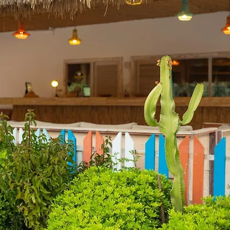 Sugar Club Oludeniz
