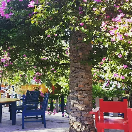 Sugar Club Oludeniz